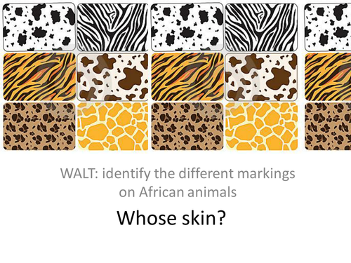 Identify Which Animal Each Of The Skin Patterns Be By Kate2York   Teaching Resources   Tes - Animal Skin, Transparent background PNG HD thumbnail