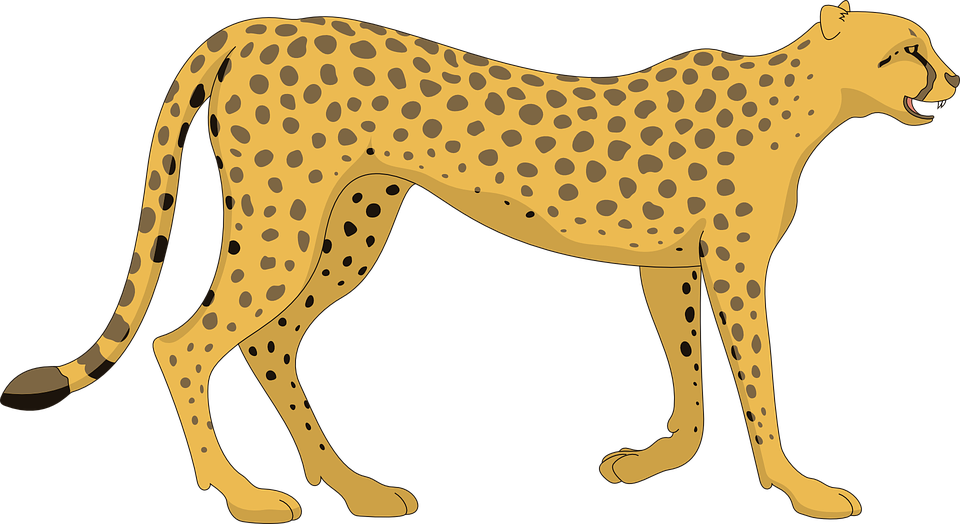 Cat Cheetah Walking Animal Tail Spots Paws Spot - Animal Tail, Transparent background PNG HD thumbnail