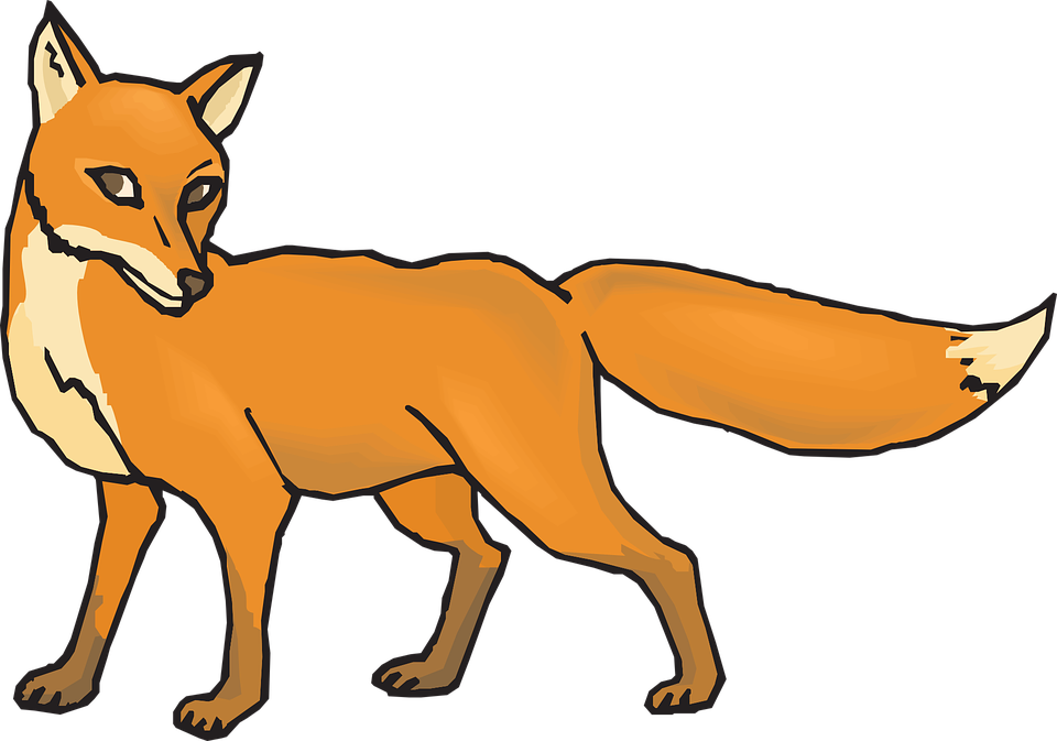 Orange Fox Animal Tail Fur Shy - Animal Tail, Transparent background PNG HD thumbnail