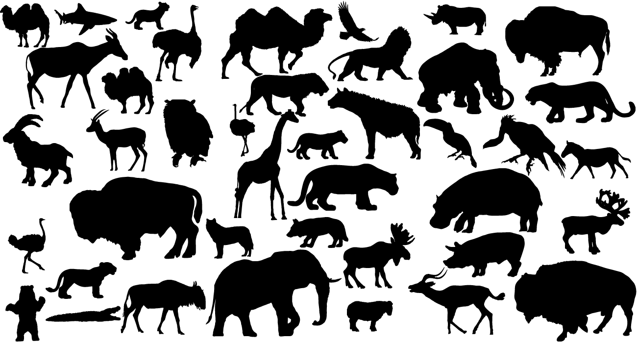 41 Animal Vector Silhouettes By Lukasiniho 41 Animal Vector Silhouettes By Lukasiniho - Animal Vector, Transparent background PNG HD thumbnail