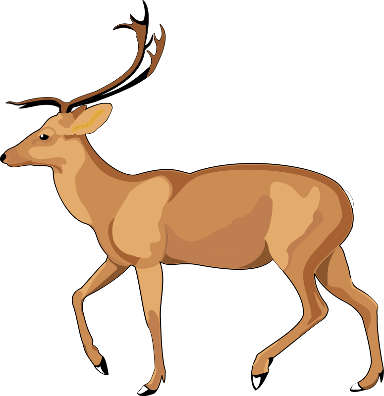 Free Vector Animal 8 - Animal Vector, Transparent background PNG HD thumbnail