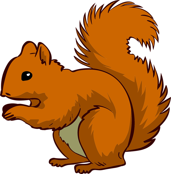 Squirrel, Animal, Pet - Animal Vector, Transparent background PNG HD thumbnail