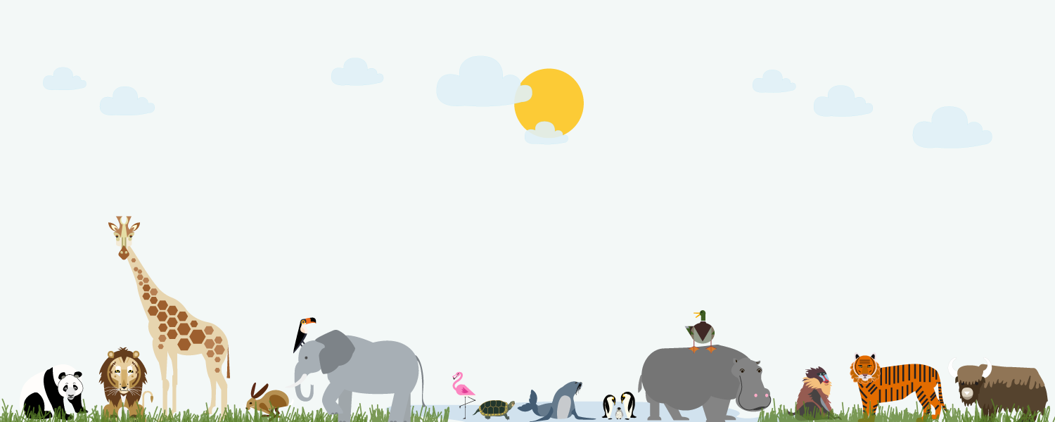 Bottom Of Graphic   Safari Animals With Blue Sky - Animals At The Zoo, Transparent background PNG HD thumbnail