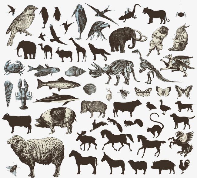 Animals Collection, Land, Ocean, Run Png Image And Clipart - Animals That Run, Transparent background PNG HD thumbnail
