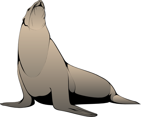 Seal Clip Art Free 994190.png (600×500) - Animals That Run, Transparent background PNG HD thumbnail