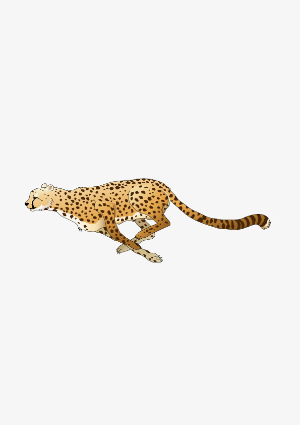 Vector Animals, Run, Hunting, Leopard Png And Vector - Animals That Run, Transparent background PNG HD thumbnail