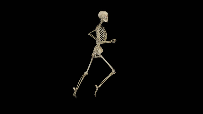 Funny Skeleton   Running Loop   01   Side   3D Animation   Alpha Channel   - Animated Dancing, Transparent background PNG HD thumbnail