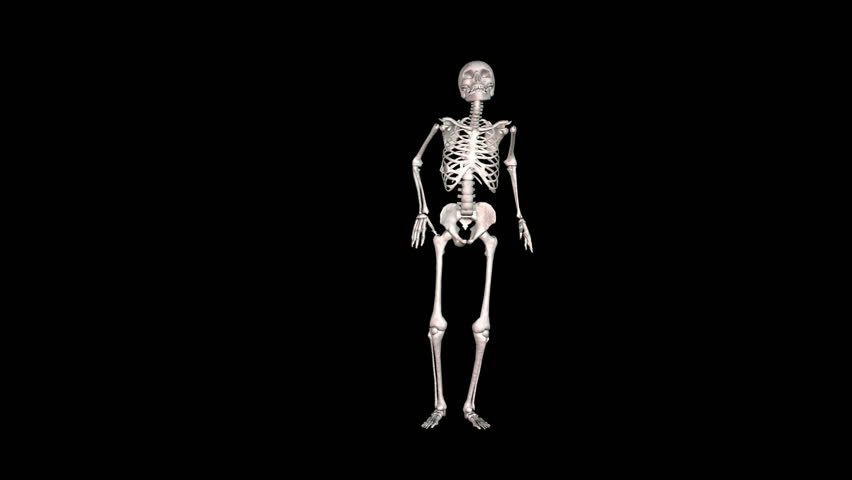 Skeleton White Disco Dancing. Alpha Channel Appended.   Hd Stock Video Clip - Animated Dancing, Transparent background PNG HD thumbnail