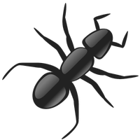 Ant Png Hd Png Image - Ant, Transparent background PNG HD thumbnail