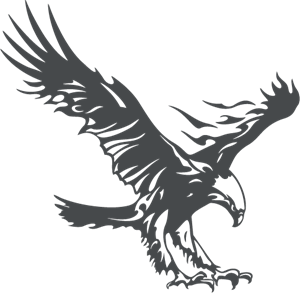 Eagle Logo Template - Apa Eagle, Transparent background PNG HD thumbnail