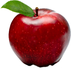 Apple Fruit Png - Apple Fruit Png File, Transparent background PNG HD thumbnail