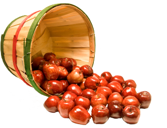 Applebasket2.png - Apples And Honey, Transparent background PNG HD thumbnail