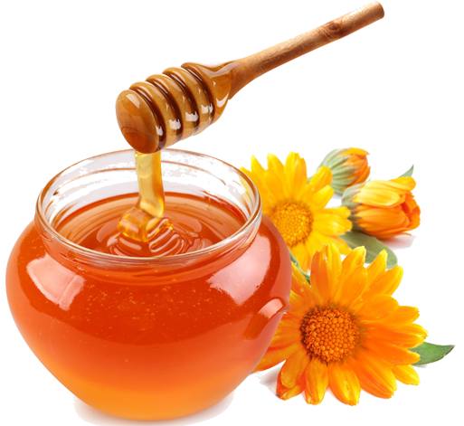 Searching · Search Pnghoneyremedies - Apples And Honey, Transparent background PNG HD thumbnail