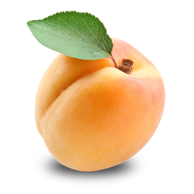 Apricot Free Download Png Png Image - Apricot, Transparent background PNG HD thumbnail