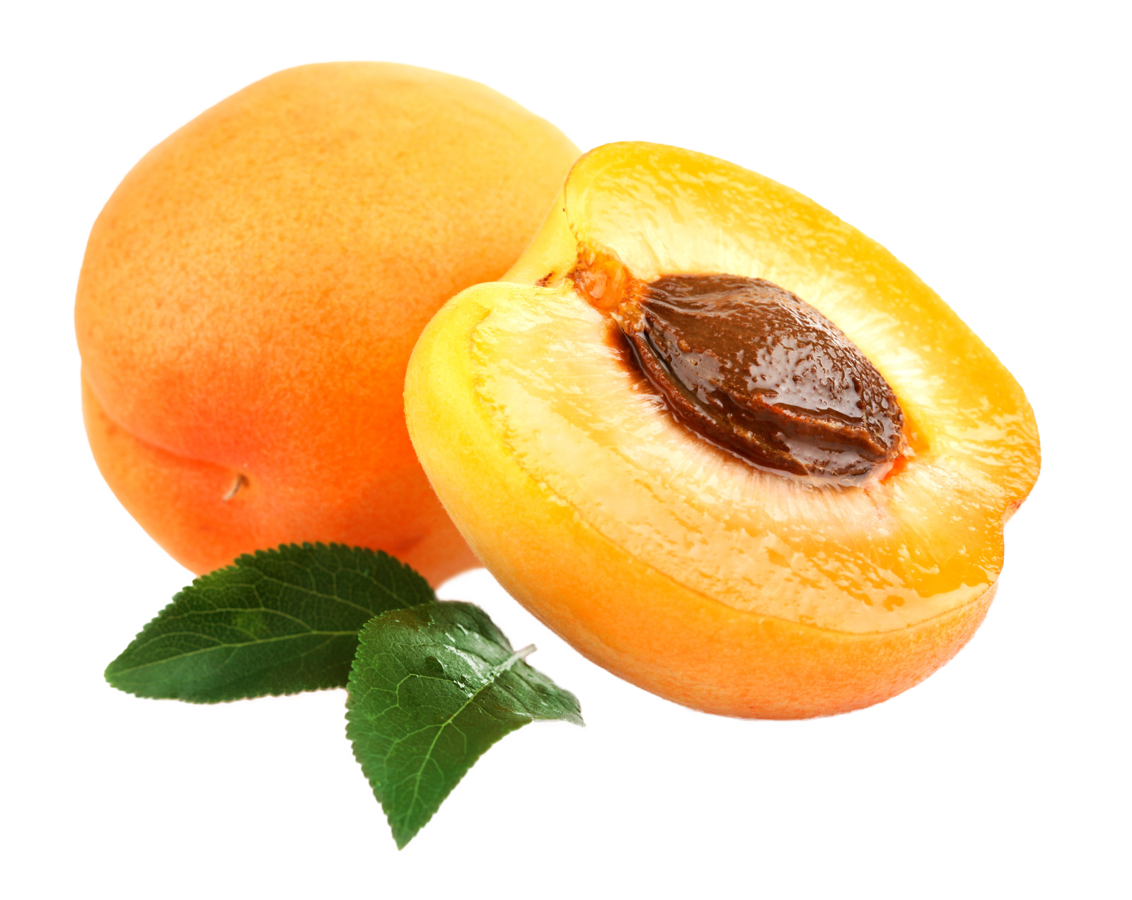 Apricot PNG Clipart