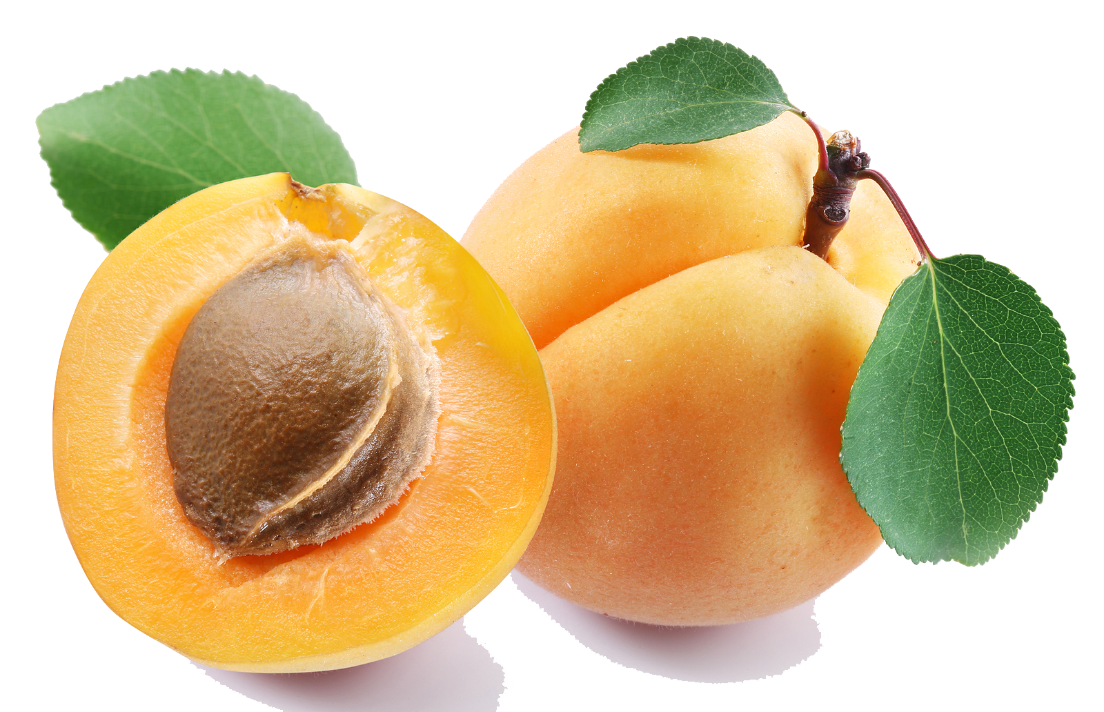 Apricot Transparent PNG