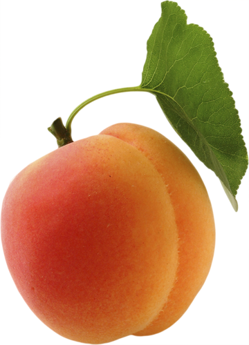 Apricot Png - Apricot, Transparent background PNG HD thumbnail