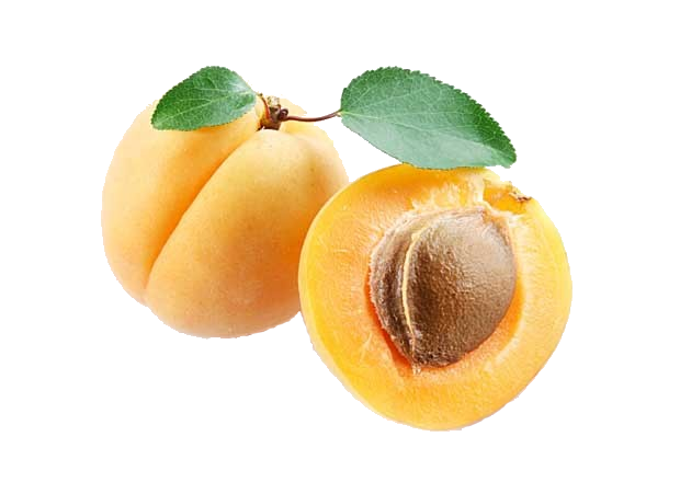 Apricot PNG, Apricot PNG - Free PNG