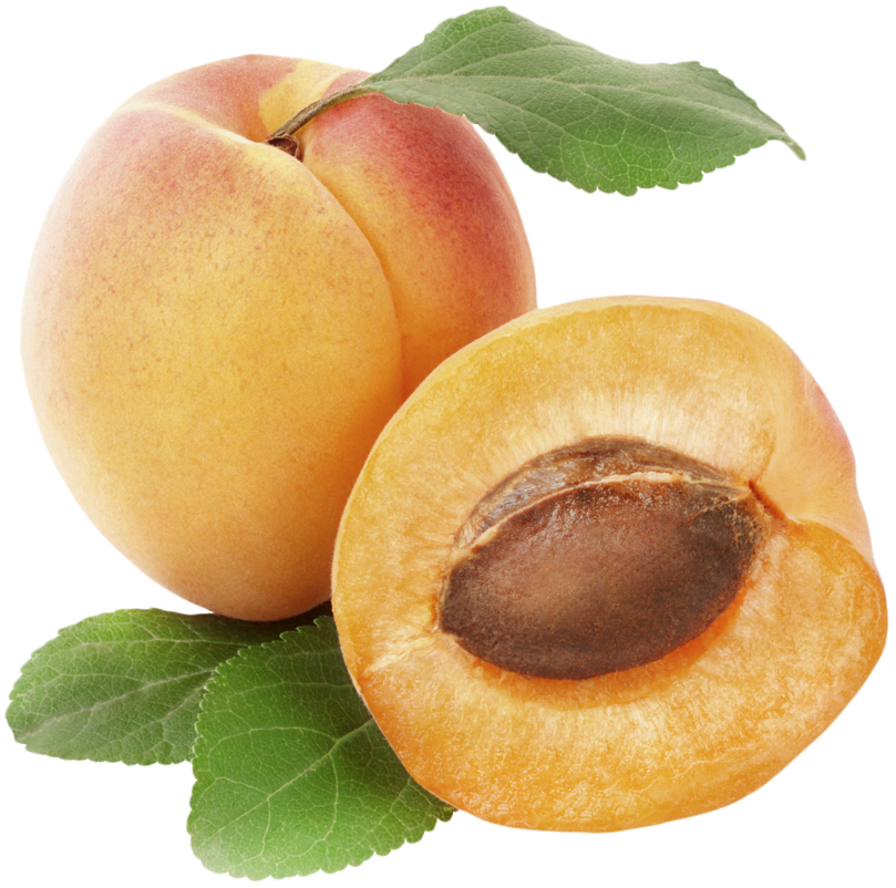 PNG File Name: Apricot PlusPn