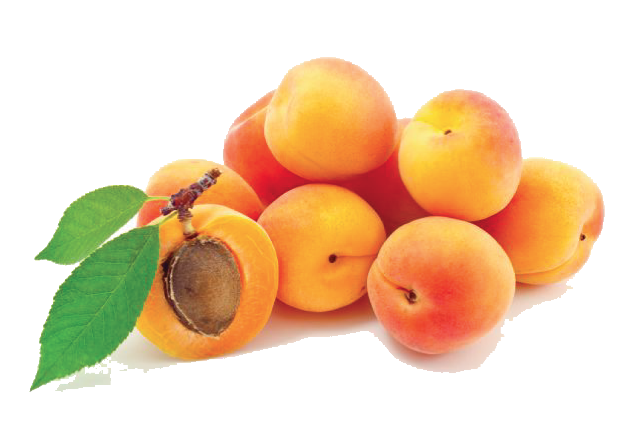 Png File Name: Apricot Hdpng.com  - Apricot, Transparent background PNG HD thumbnail