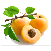 Similar Apricot Png Image - Apricot, Transparent background PNG HD thumbnail