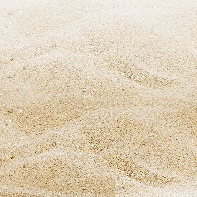 Beach, sea, sand Free PNG