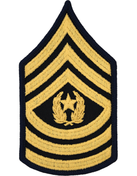 Csm Coe Served Three Years Active Duty, Beginning In June 1964 And Ending June 1967. He Was Assigned To The 2Nd Acr In Amberg, Germany For 27 Months, Hdpng.com  - Army Csm Rank, Transparent background PNG HD thumbnail
