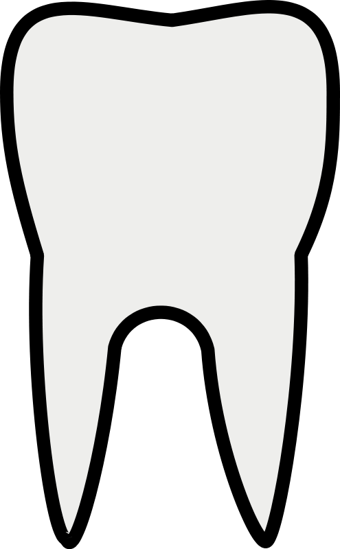 Free Vector Tooth Line Art   Free Png Teeth - Art, Transparent background PNG HD thumbnail