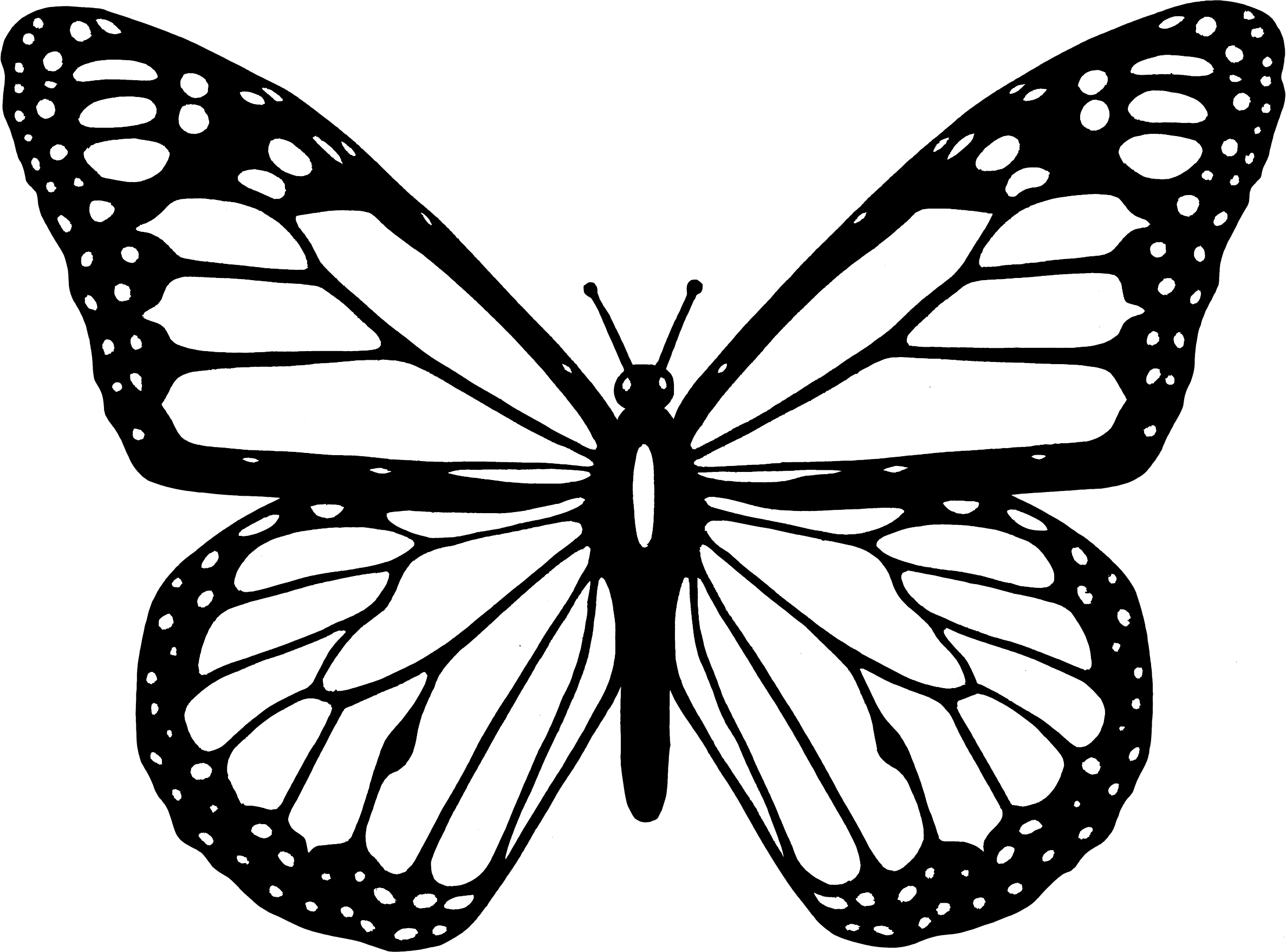 Big Image (Png) - Art Black And White, Transparent background PNG HD thumbnail