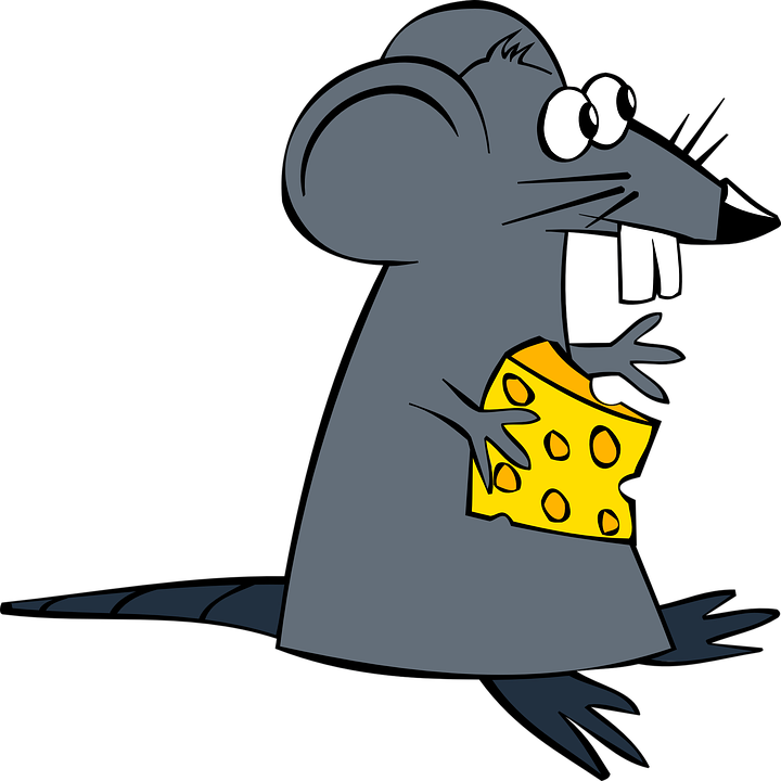 Free Vector Graphic: Rat, Mouse, Cheese, Animal, Mammal   Free Image On Pixabay   152162 - Ate Vector, Transparent background PNG HD thumbnail