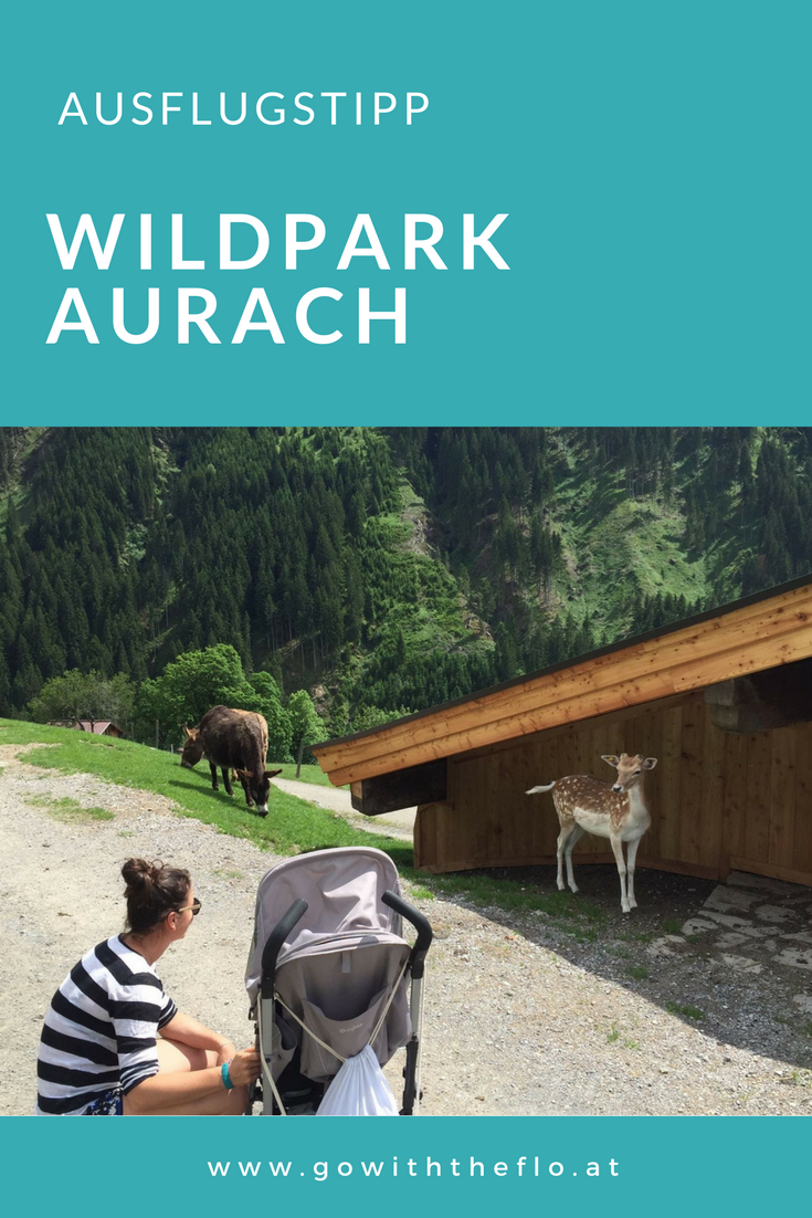 Ein Super Ausflug Mit Kindern Ist Der Wildpark In Aurach In Der Nähe Von Kitzbühel. - Ausflug Mit Kindern, Transparent background PNG HD thumbnail
