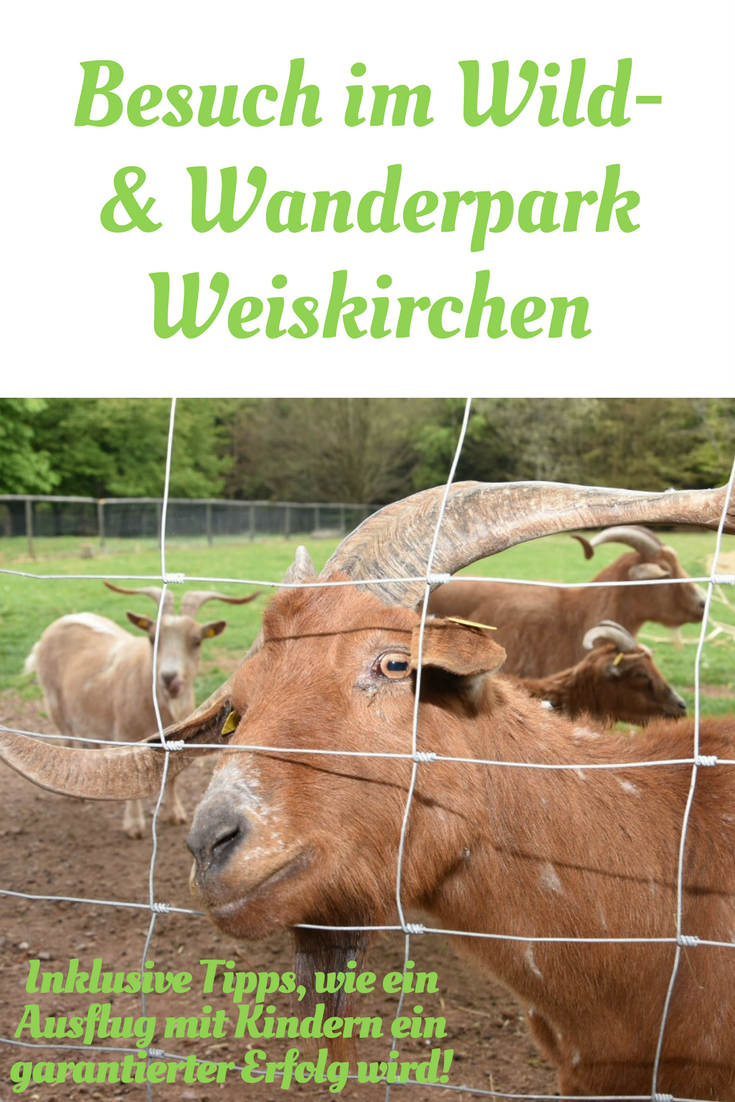 Im Wild  Und Wanderpark Weiskirchen Gibt Es Mehr Als Nur Tiere Zu Entdecken! Plus - Ausflug Mit Kindern, Transparent background PNG HD thumbnail