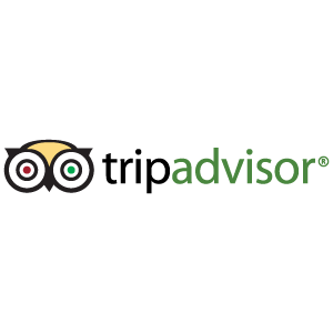 Vector Logo Tripadvisor - Autobridal Vector, Transparent background PNG HD thumbnail