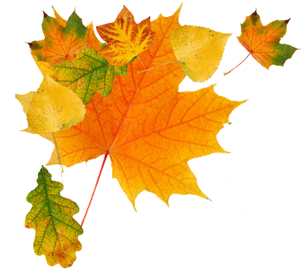 Autumn Leaves Hd Png Hdpng.com 440 - Autumn Leaves, Transparent background PNG HD thumbnail