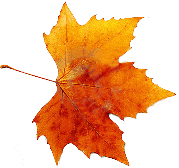 Autumn Png By Vanessarebelangel On Deviantart - Autumn, Transparent background PNG HD thumbnail