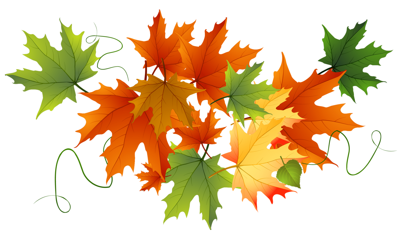 Autumn Transparent Leaves Gallery Yopriceville - Autumn, Transparent background PNG HD thumbnail