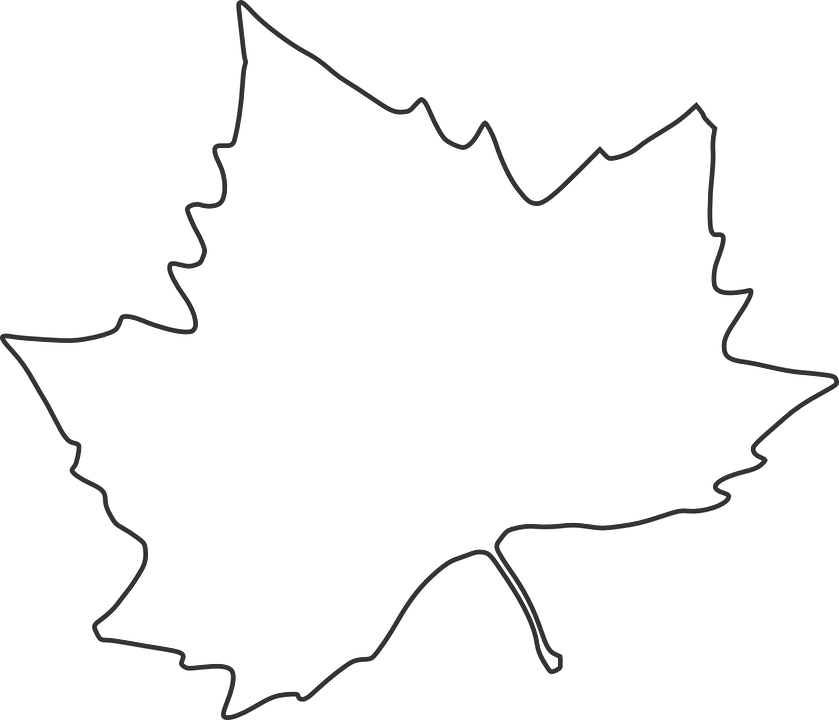 Maple Leaf Fall White Autumn - Autumn Black And White, Transparent background PNG HD thumbnail