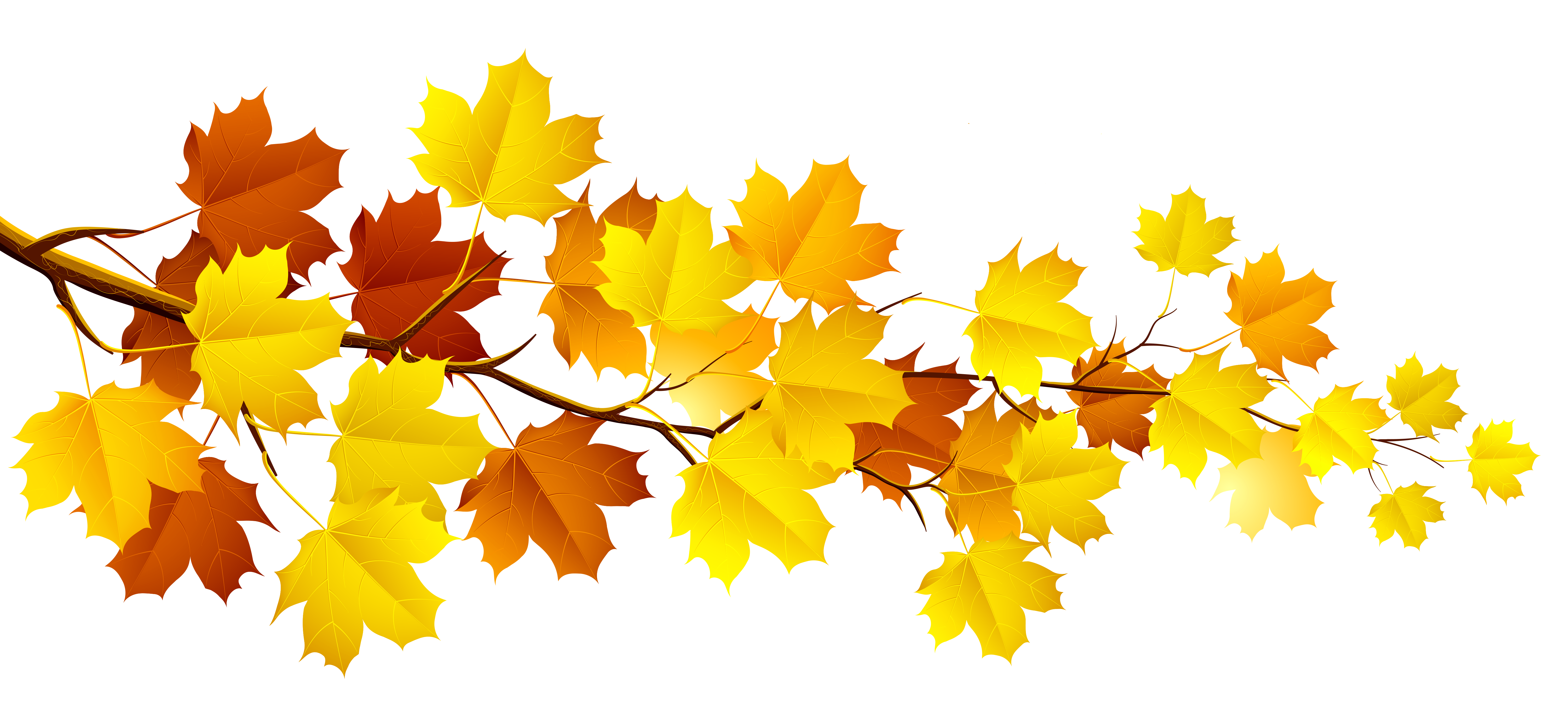 Fall Leaves Clipart - Autumn, Transparent background PNG HD thumbnail