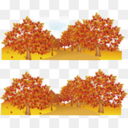 Autumn Maple, Maple, Maple Leaf, Sun Png And Vector - Autumn Sun, Transparent background PNG HD thumbnail