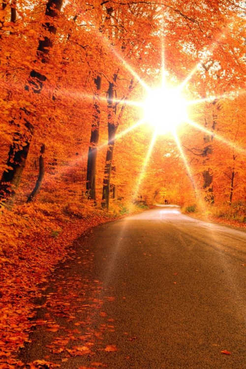 Bright Autumn Sun More - Autumn Sun, Transparent background PNG HD thumbnail