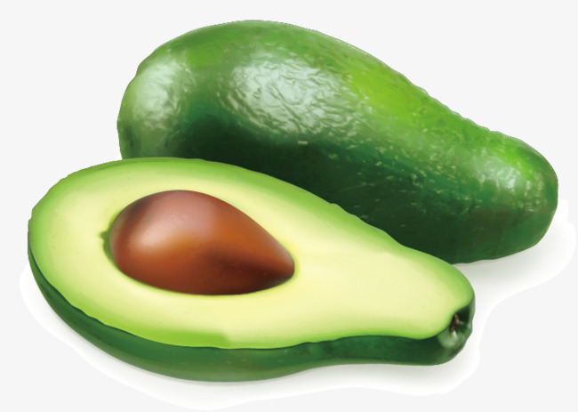 Vector Avocado, Vector, Vegetables, Hd Free Png And Vector - Avocado, Transparent background PNG HD thumbnail