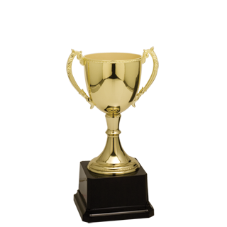 Economy Metal Cup Trophy. Javascript:popimage(U0027Graphics/00000001/j Czc603G Hr.pngu0027,u0027J Czc601U0027) Hdpng.com  - Award Cup, Transparent background PNG HD thumbnail