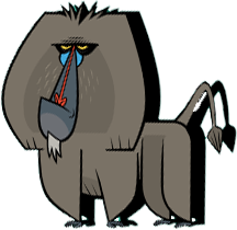 Baboon.png - Baboon, Transparent background PNG HD thumbnail