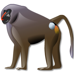 Baboon Png Image - Baboon, Transparent background PNG HD thumbnail