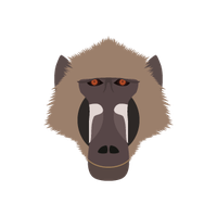 Baboon Png Image Png Image - Baboon, Transparent background PNG HD thumbnail