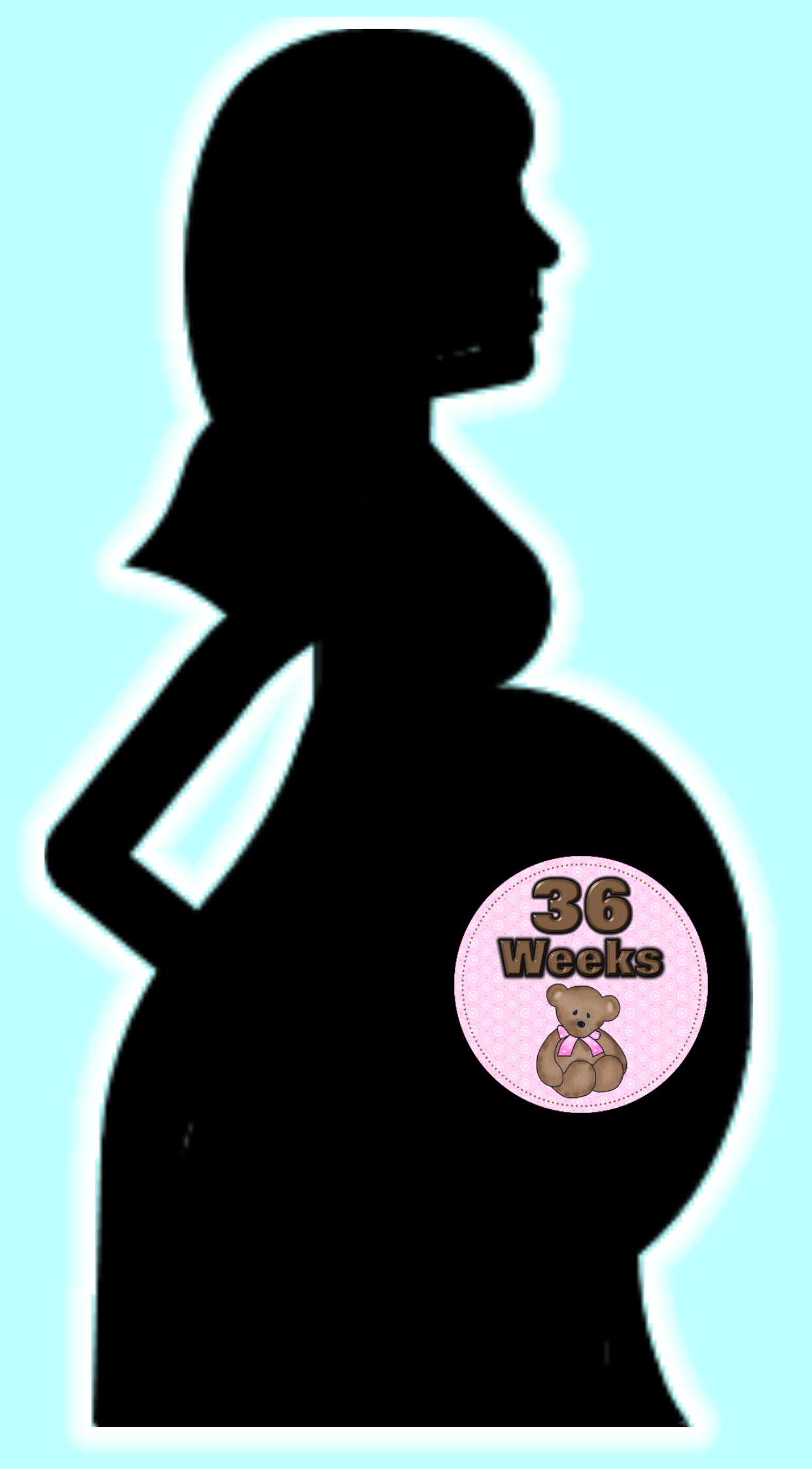 Baby Bump Stickers - Baby Belly, Transparent background PNG HD thumbnail