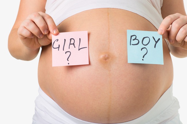 Pregnant Belly, Belly, Pregnant Woman, Baby Png Image And Clipart - Baby Belly, Transparent background PNG HD thumbnail