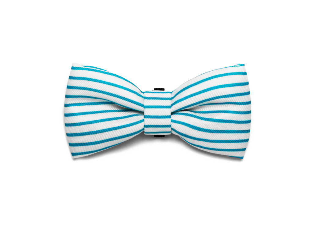 Bali The Dog Zeedog Helsinki Bow Tie For Those James Bond Moments Or Any Party Outfit - Baby Blue Bow Tie, Transparent background PNG HD thumbnail