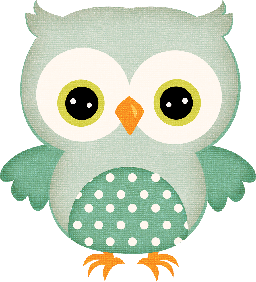 Boy Baby Shower Owl Clipart u