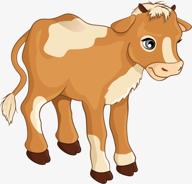 Calf Child, Calf, Cattle, Creative Cow Png Image And Clipart - Baby Calf, Transparent background PNG HD thumbnail